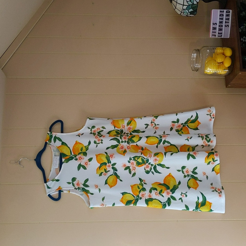 Sweet Lemon Knit Summer Dress by Pappagallo L